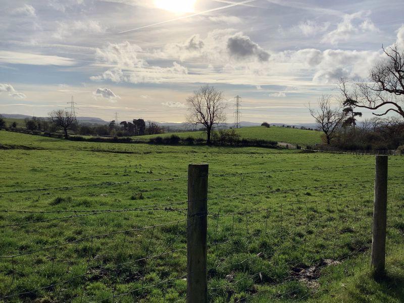 View over fields