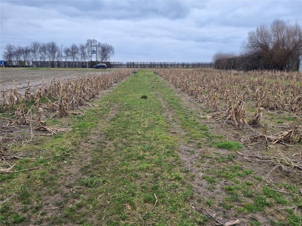 Land Off Guide Road