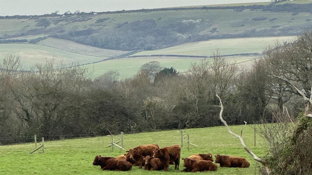 Countryside views