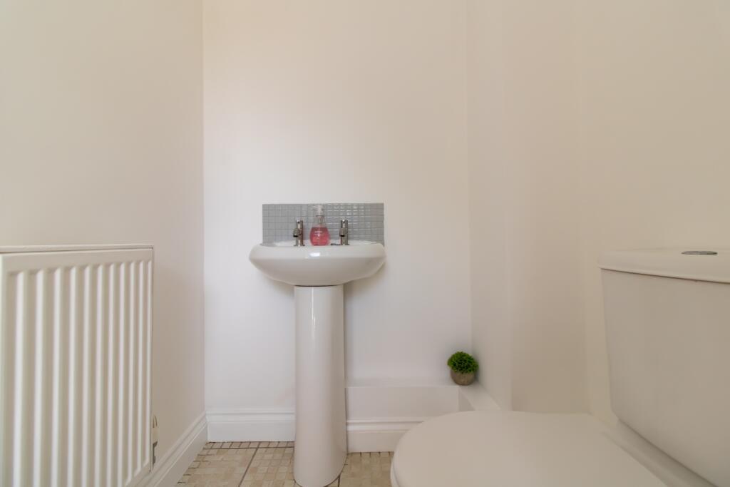 IMAGE 11