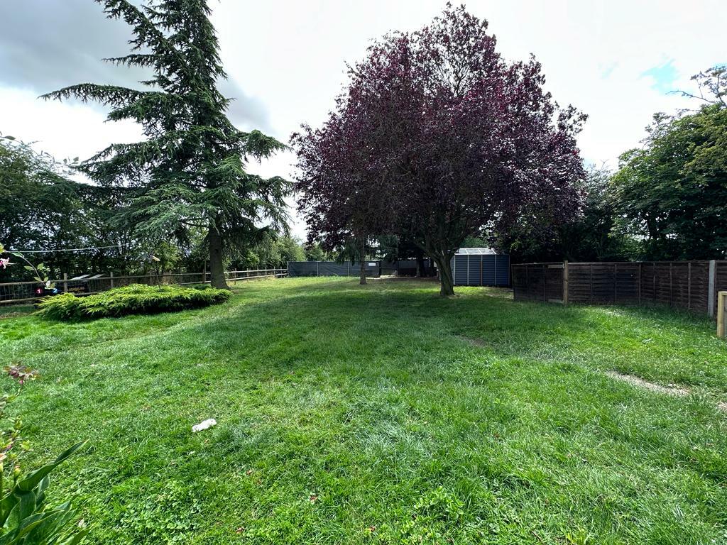 Garden 2