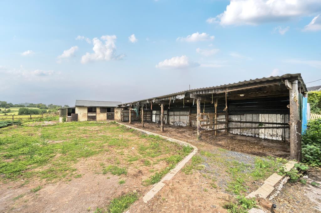 External