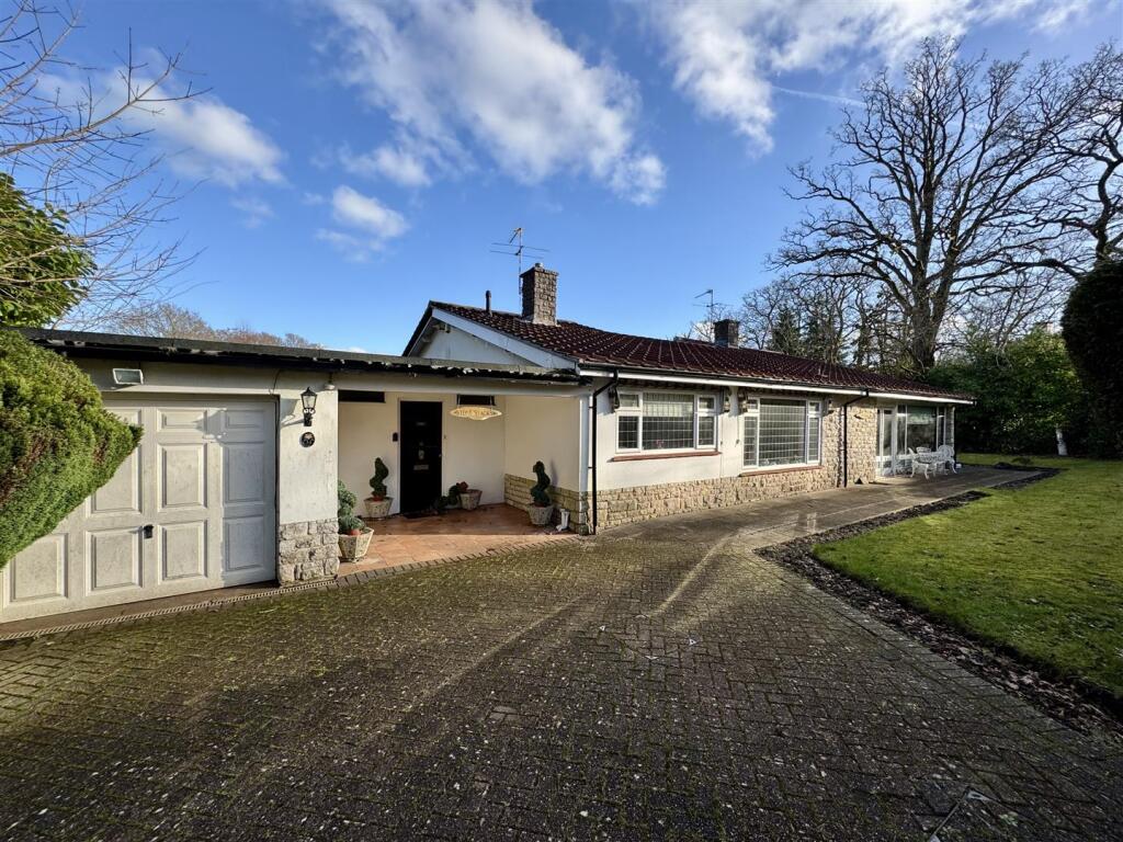 1. New 1. IMG_1453.jpeg