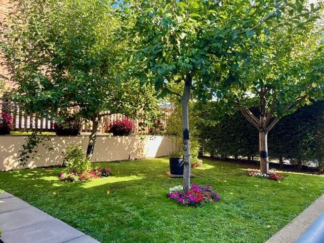 Garden 7.jpg