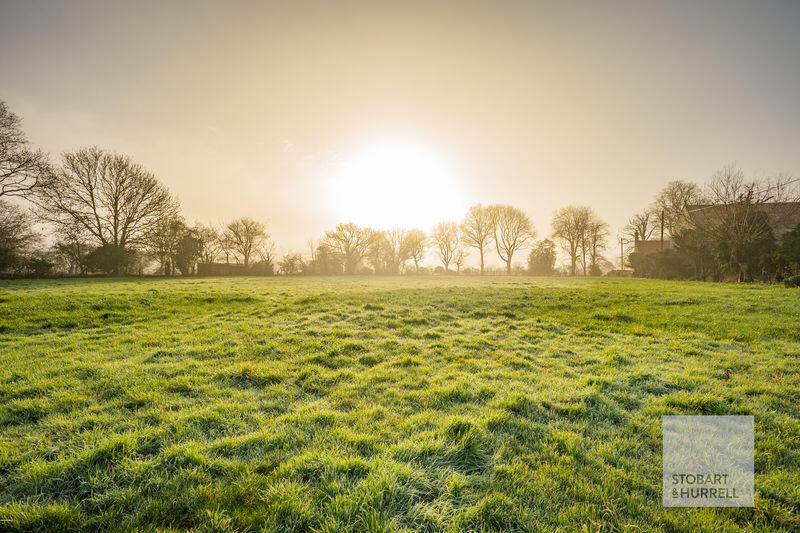 Field