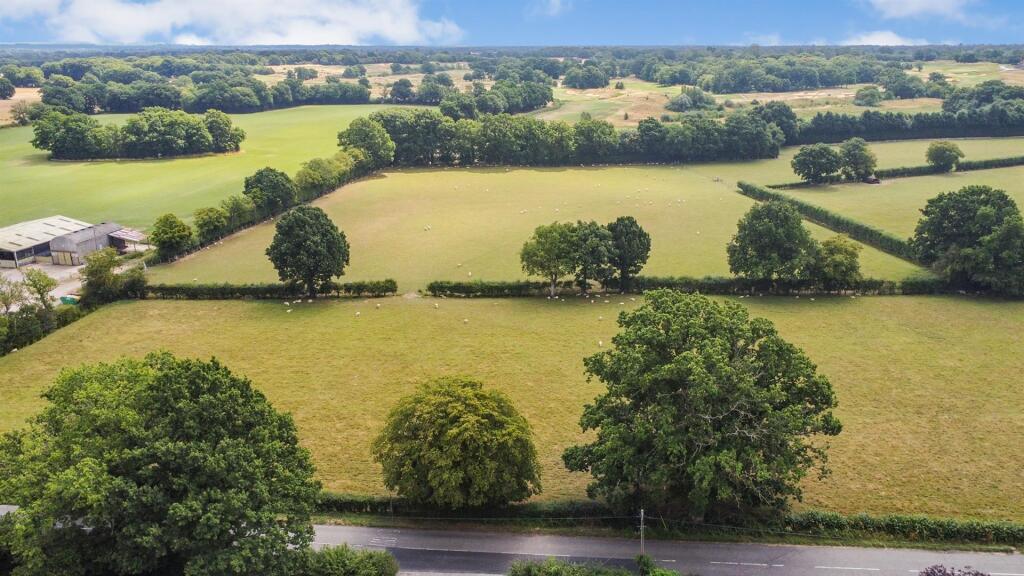 DJI_0167.jpg
