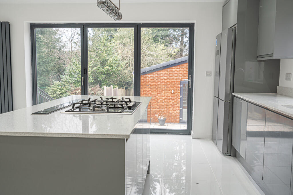 20250306-DSC03120...