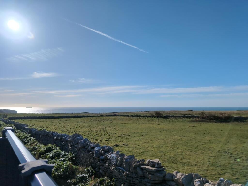DJI_20250130_130148_57.jpg