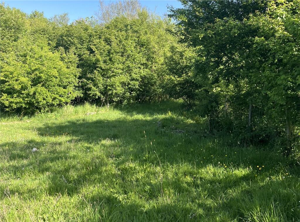 Bare Grassland