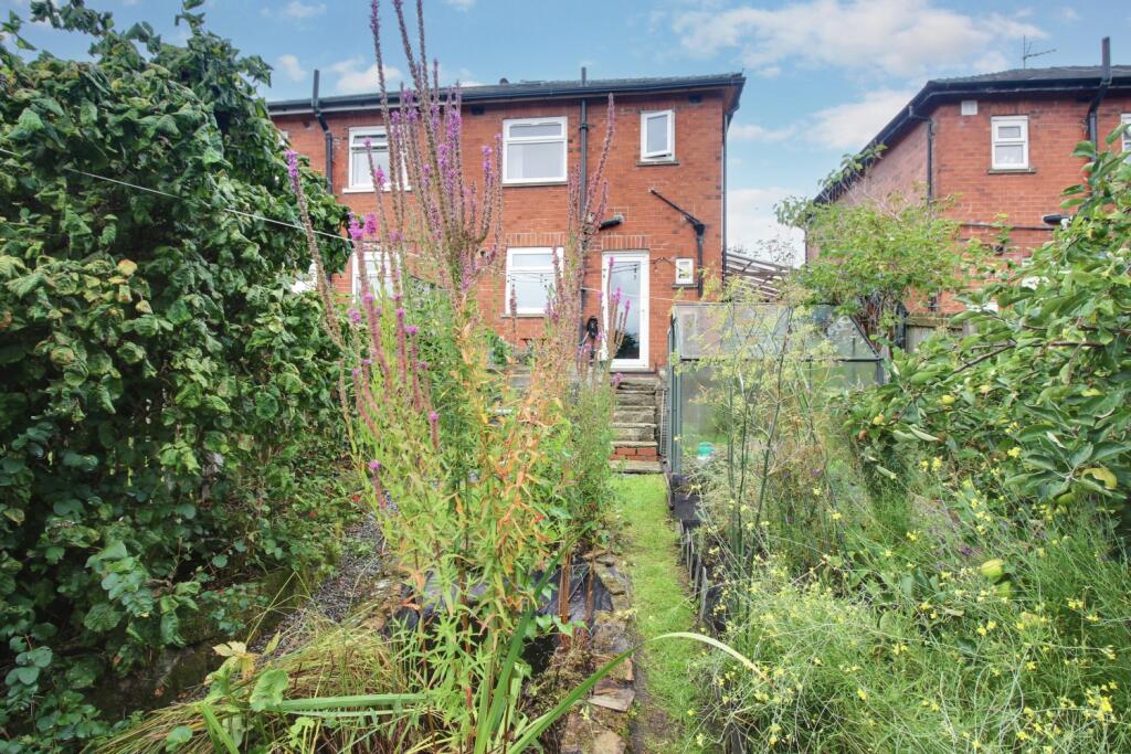Back Garden