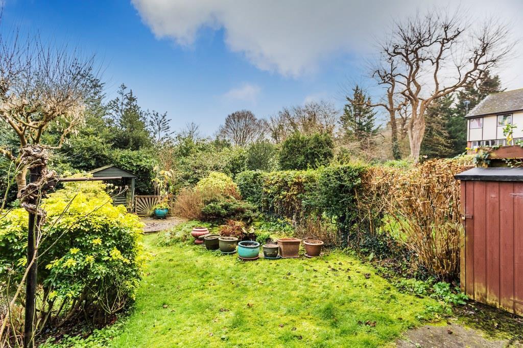 Rear garden BEST.jpg