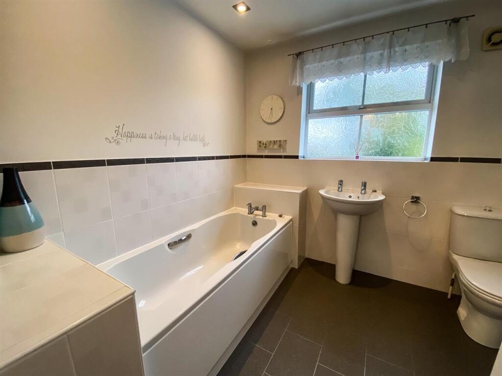 Monkey vs Owl Edit-3175.jpg