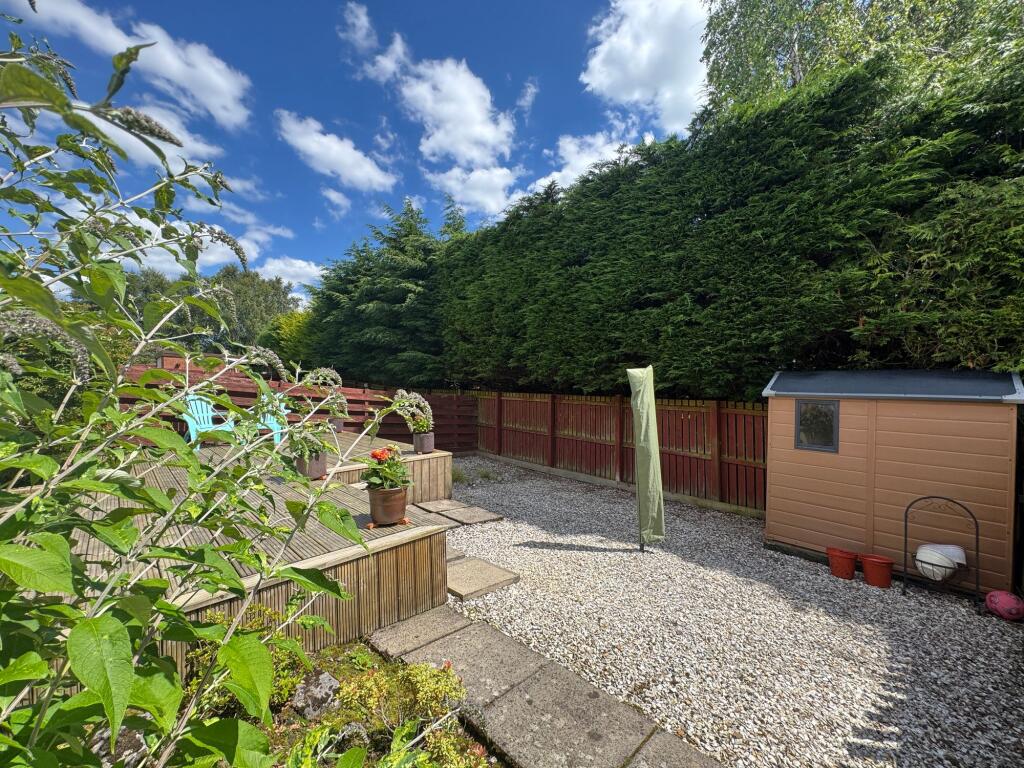 Back Garden