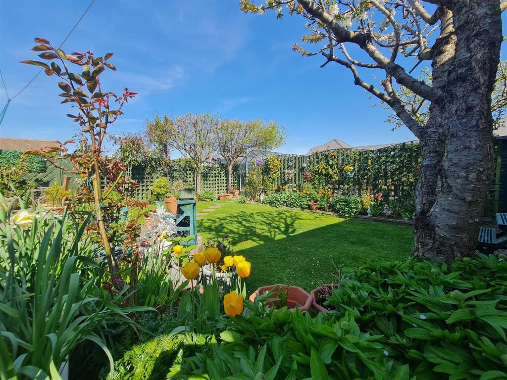 Image 8 replacement.jpg