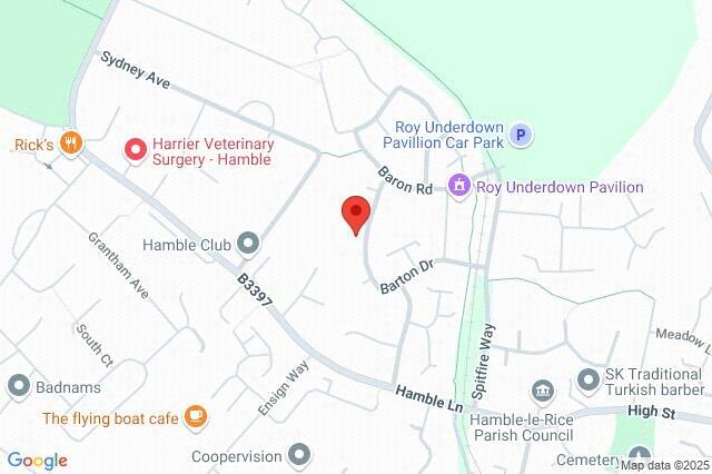 Google Maps Image