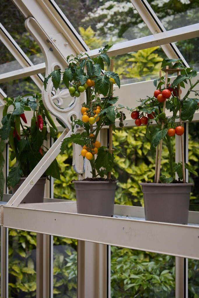 289613 - Juliet-Murphy-Photography-Church-Stree...