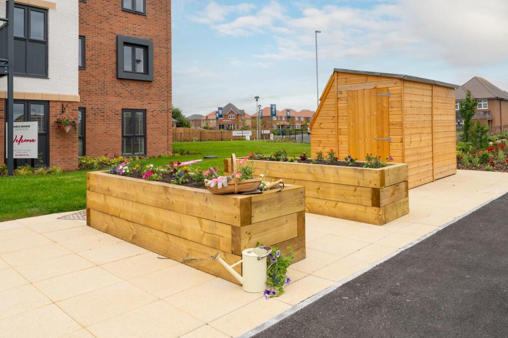 Raised planters and potting shed