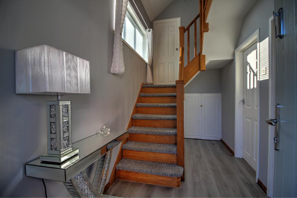 IMG_3024_5_6_Optimizer