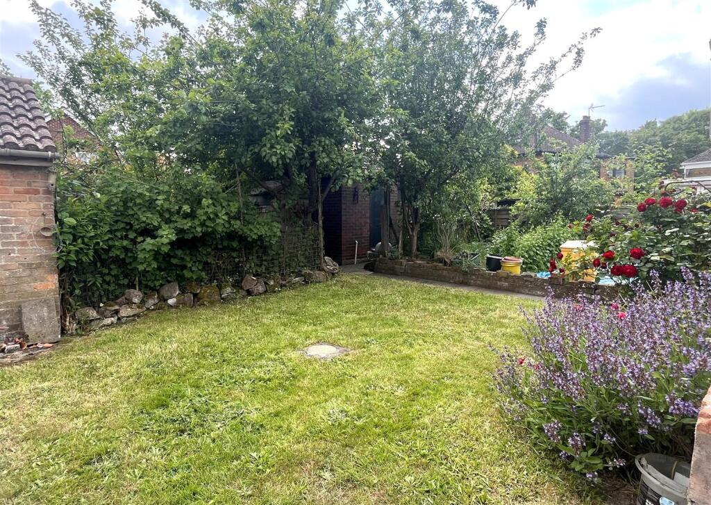Garden c.jpg
