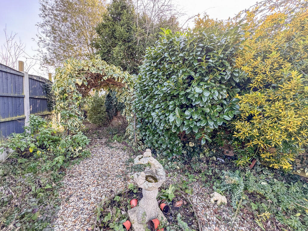back of garden