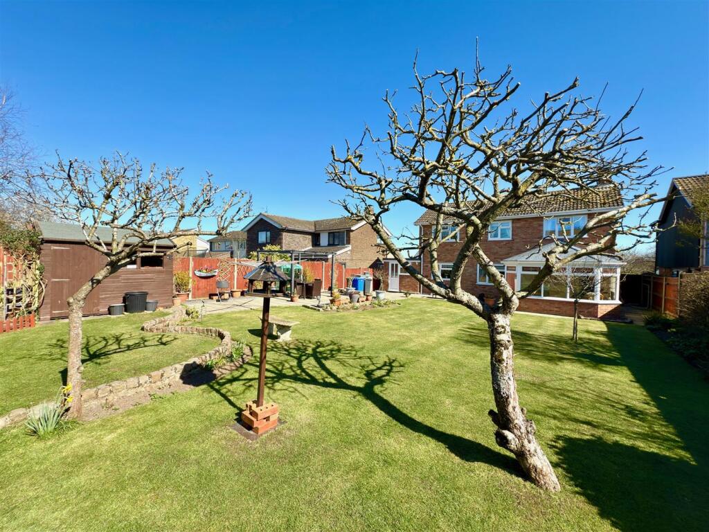 BACK GARDEN.jpg