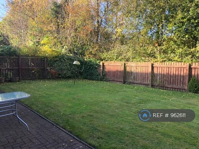 Back Garden