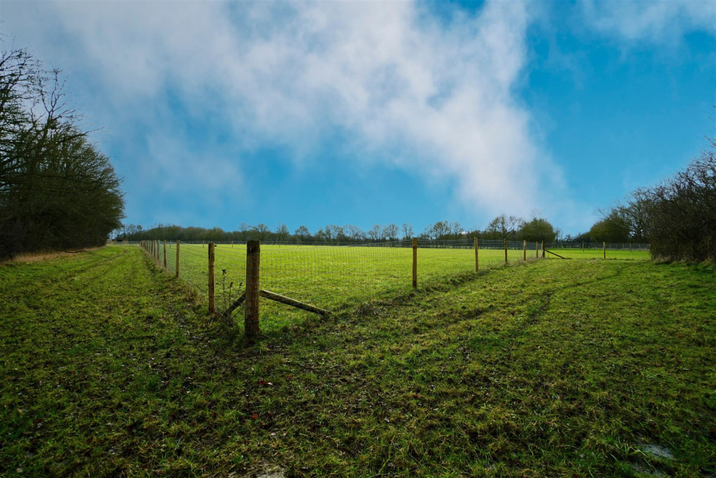 Field