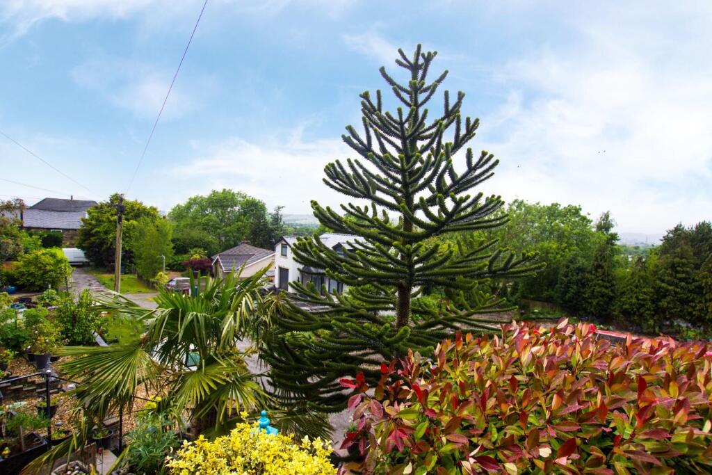 Hazel Avenue (8).jpg