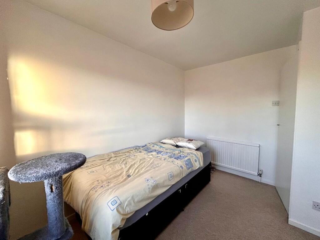 WhatsApp Image 20...