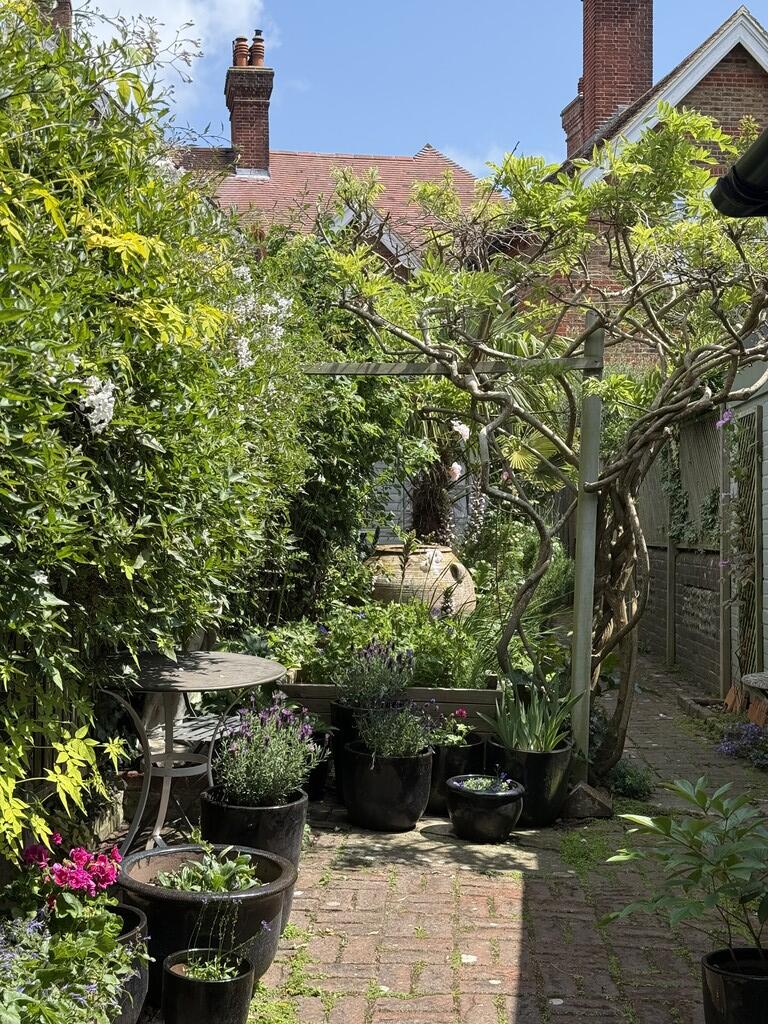 Rear Garden 2