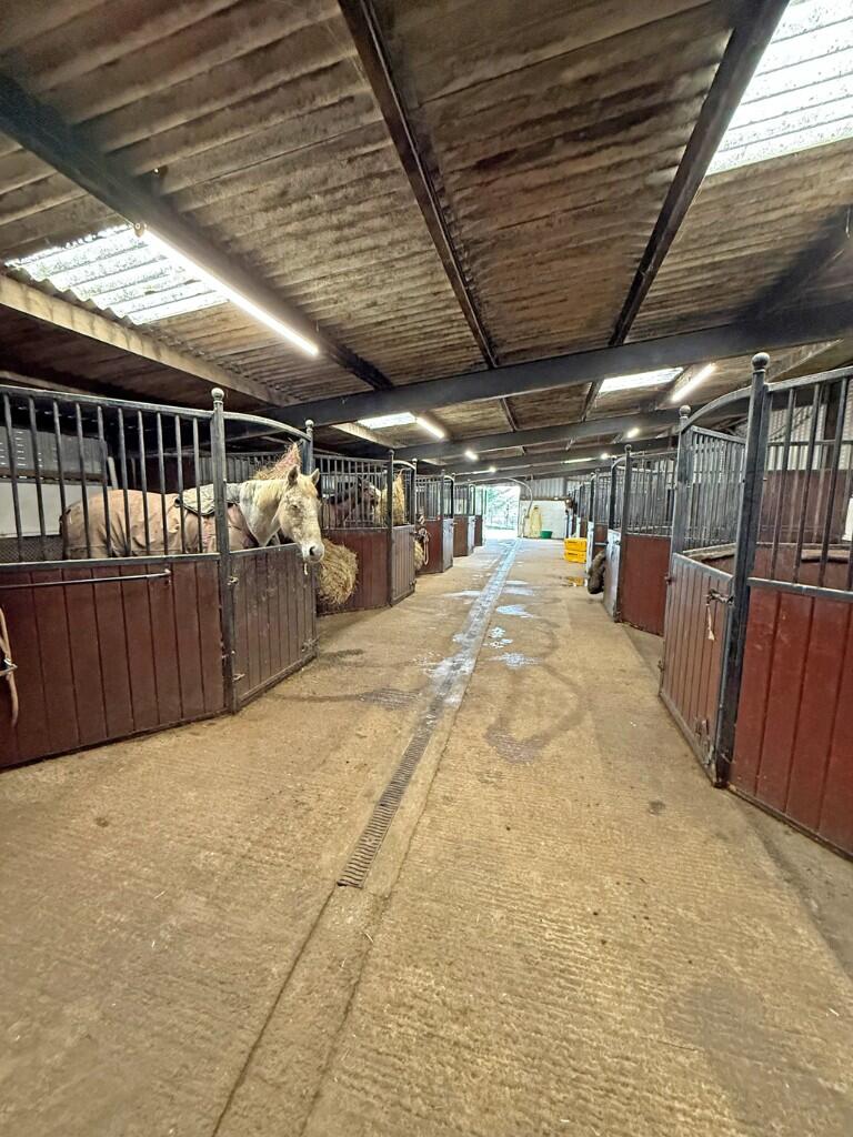 Stables