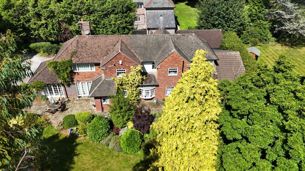 dji_fly_20240811_125242_0618_1723401051360_photo.J