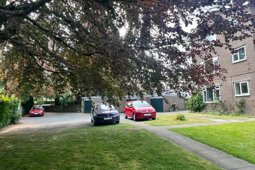 IMG_2023-6-13-115752