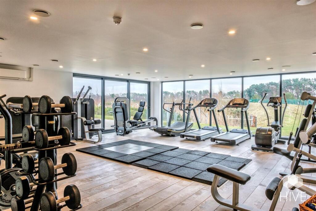 Cardio, machines &amp; free weights