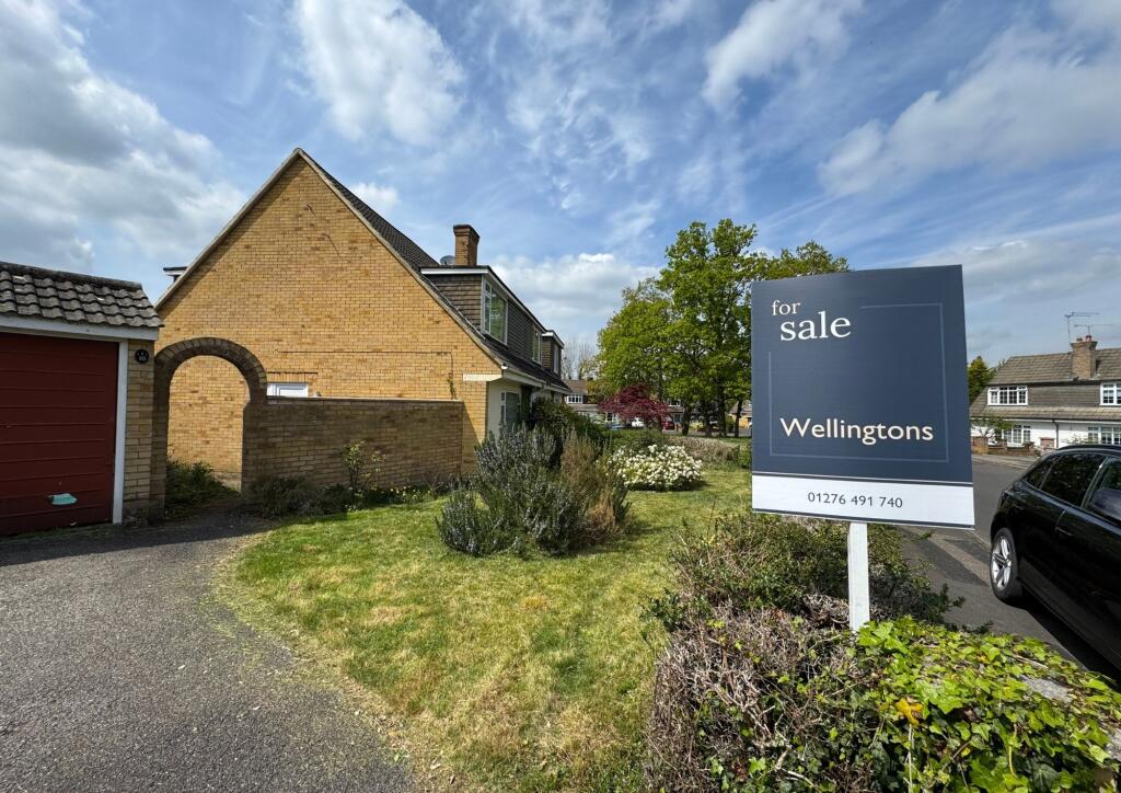 Front garden and driveway
