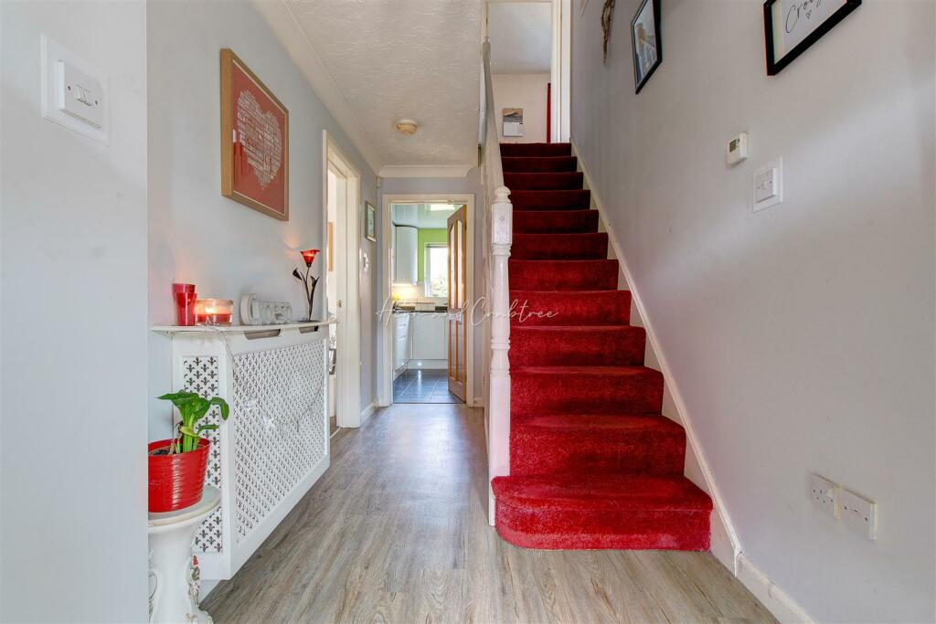 Maes Y Draenog (16).jpg