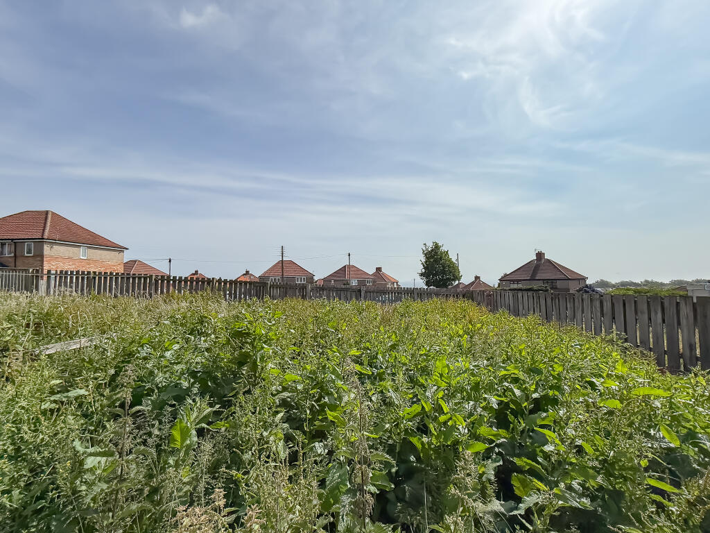 IMG 8996 T202506151053.jpg