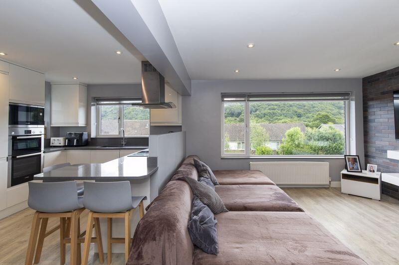 Living Room / Kitchen