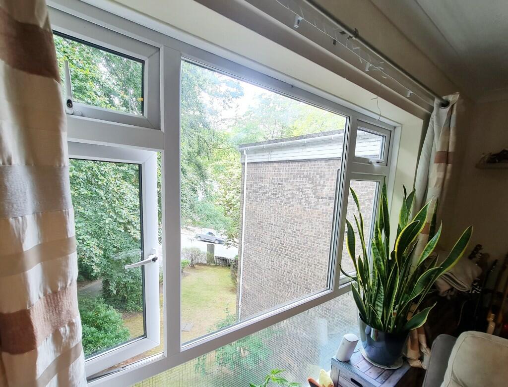 Feature Window