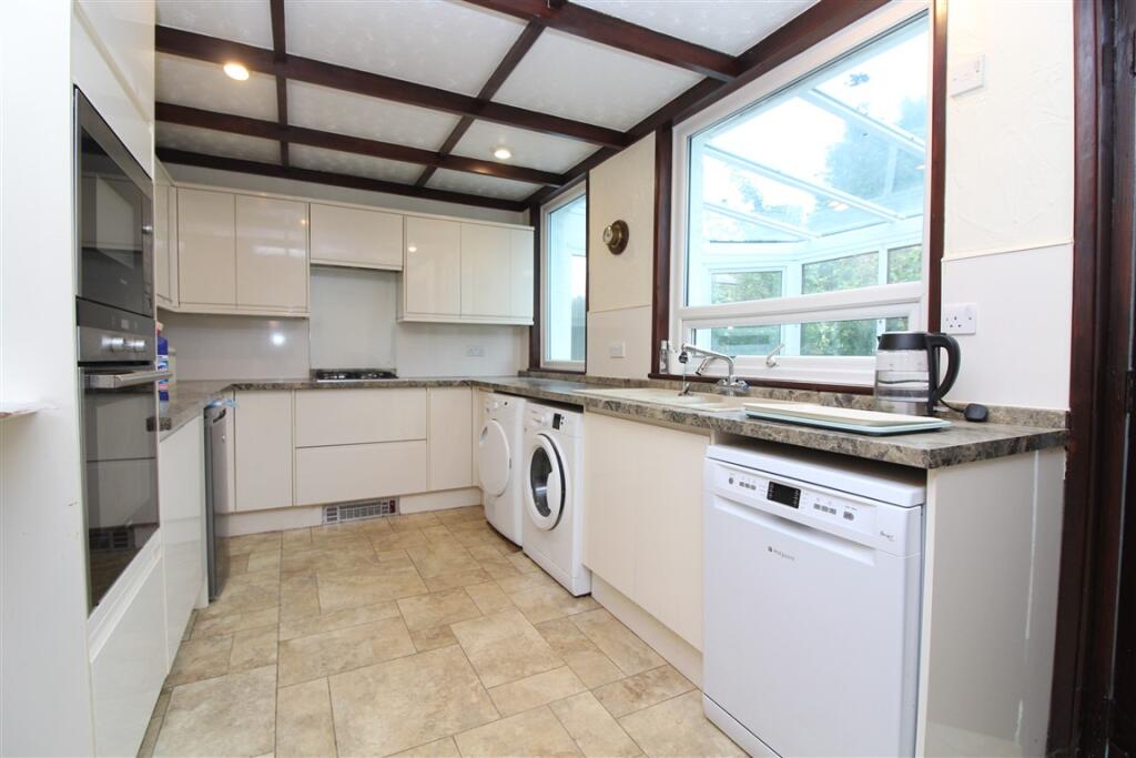 IMG 6893  Medium  T202510201246.jpg