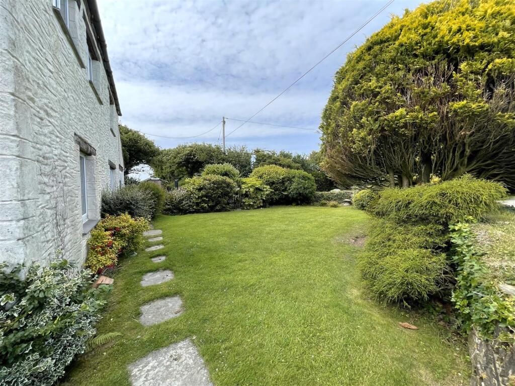 garden 9.jpg
