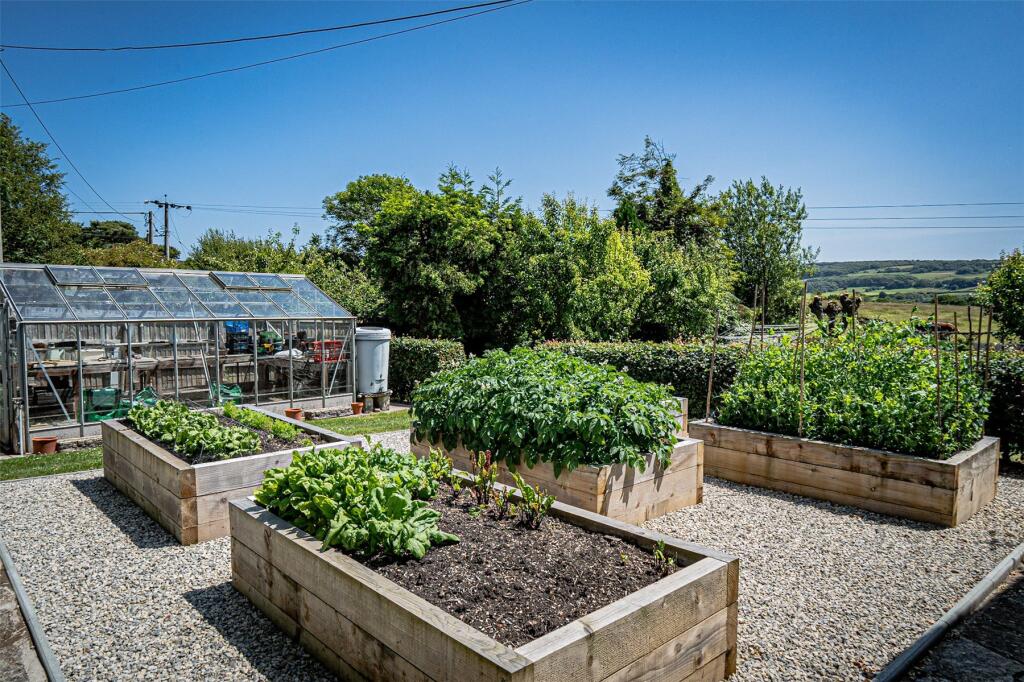 Vegetable Garden