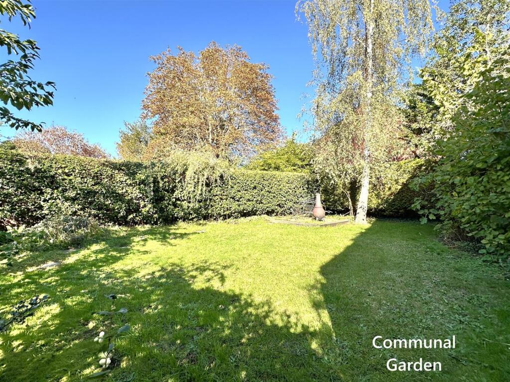 Communal Garden 716