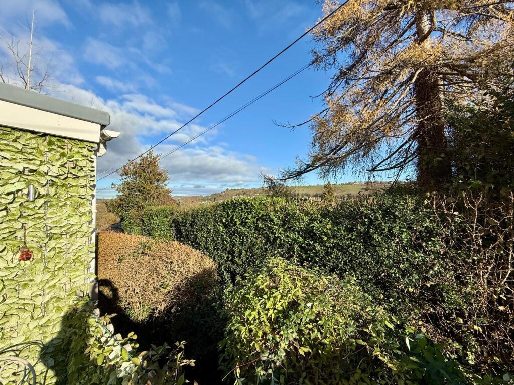 IMG_3611.jpeg