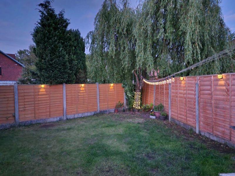 Rear Garden, Evening