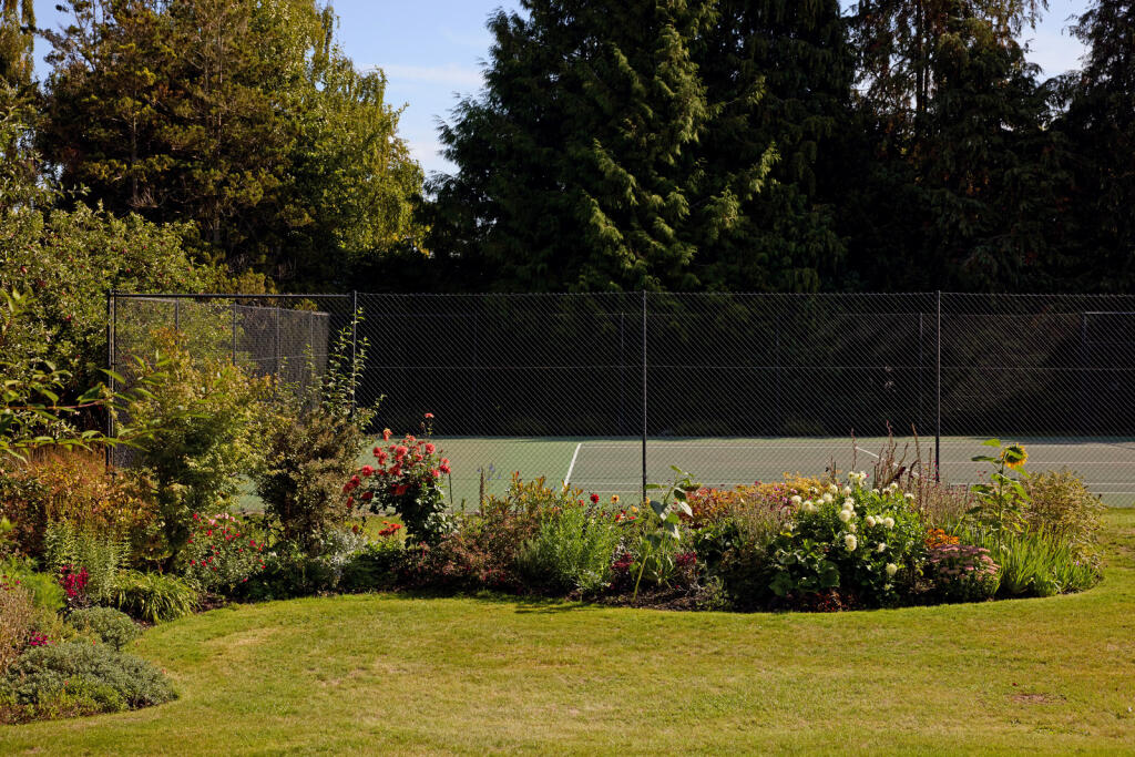 311287 - a0OP60000062S81MAE_N15.jpg