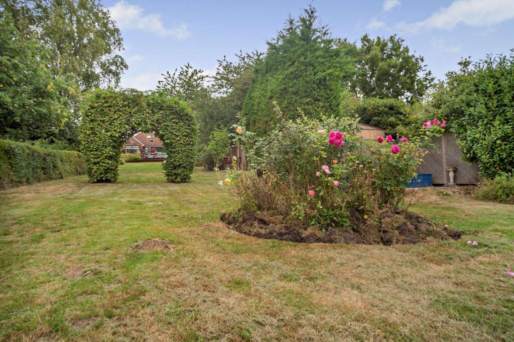 Picture 20