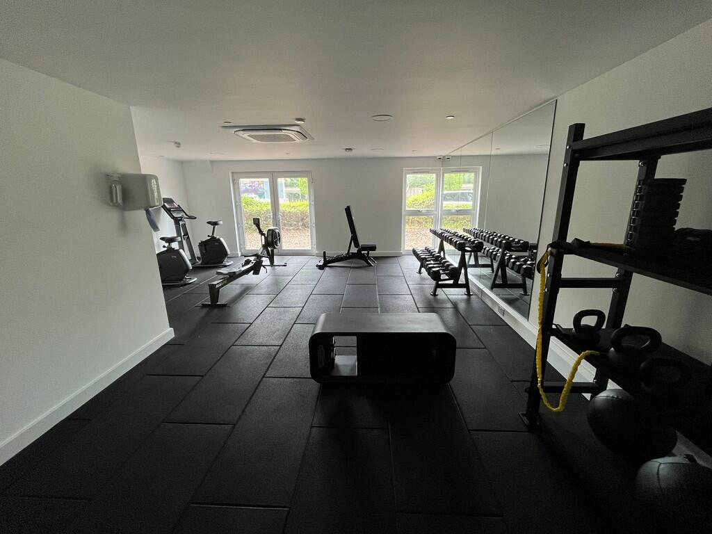 WhatsApp Image 20...