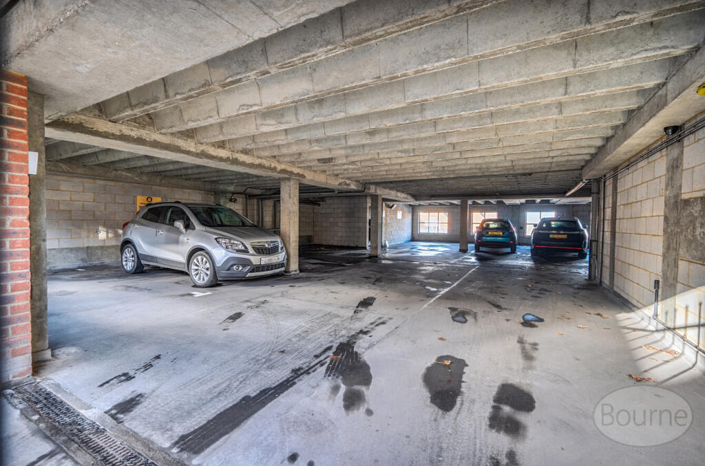 c8017196-c573-42a...