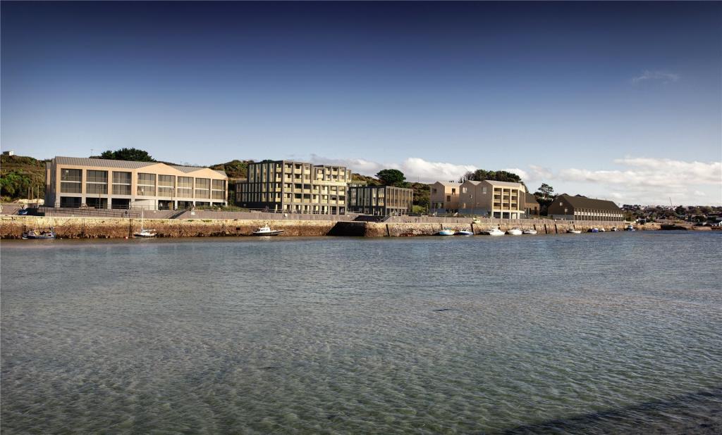 Development Cgi